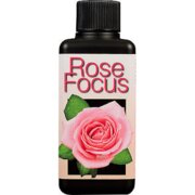 Rose Focus 300 ml