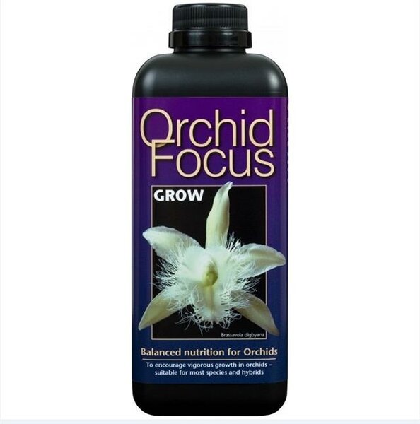 Orchid Focus Grow 300 ml