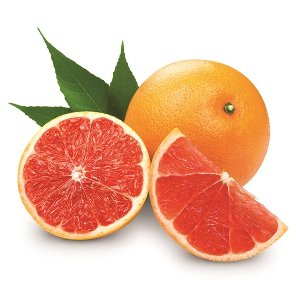 Citrus paradisi - stam 30-40 cm - totale hoogte 80-100 cm - pot Ø 24 cm
