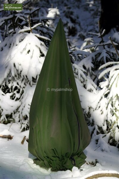 Winterbescherming voor planten piramide vorm hoogte 100 cm