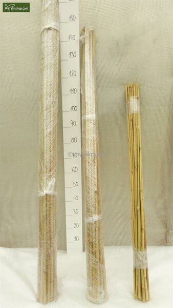 Bamboestokken 25 x - 152 cm x Ø 15-17 mm