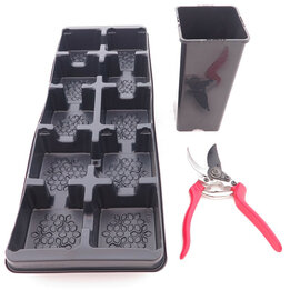 Deep Square Palmpot Rose Tray + 10 pot - 2 ltr.