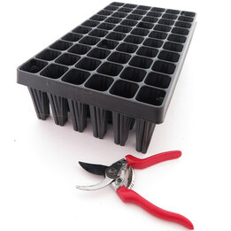 Tray for Palm seedlings 60-holes