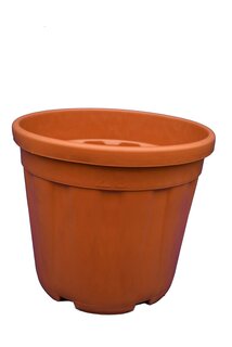 Large palm pots - Ø 36 cm / 25 ltr.