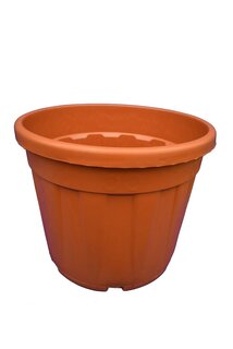 Grote palmpot - Ø 49 cm / 55 ltr.