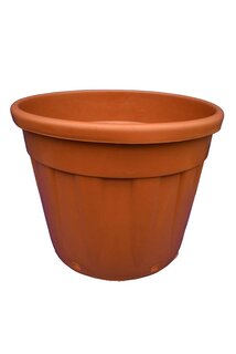 Grote palmpot - Ø 54 cm / 70 ltr.