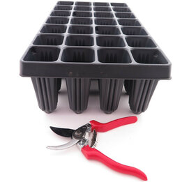 Tray for Palm seedlings 28-holes
