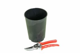 Diepe Ronde Palmpot - Ø 14,9 cm / 2 ltr.