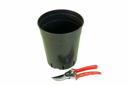 Diepe Ronde Palmpot - Ø 18,7 cm / 4 ltr.