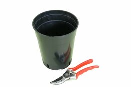 Diepe Ronde Palmpot - Ø 21 cm / 7 ltr.